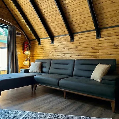 Ravine Country house Fevziye (Sapanca)