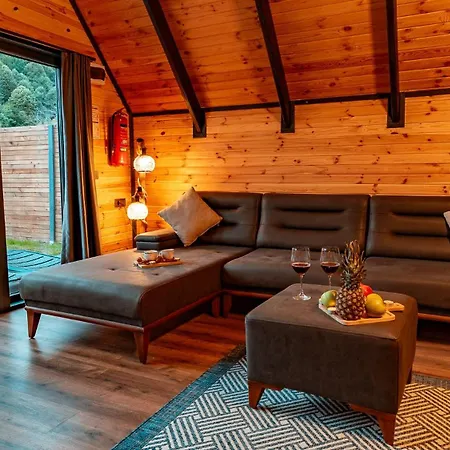 Country house Ravine *